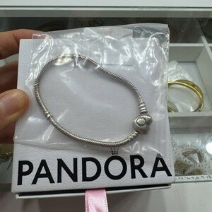 Pandora Silver Charm Bracelet